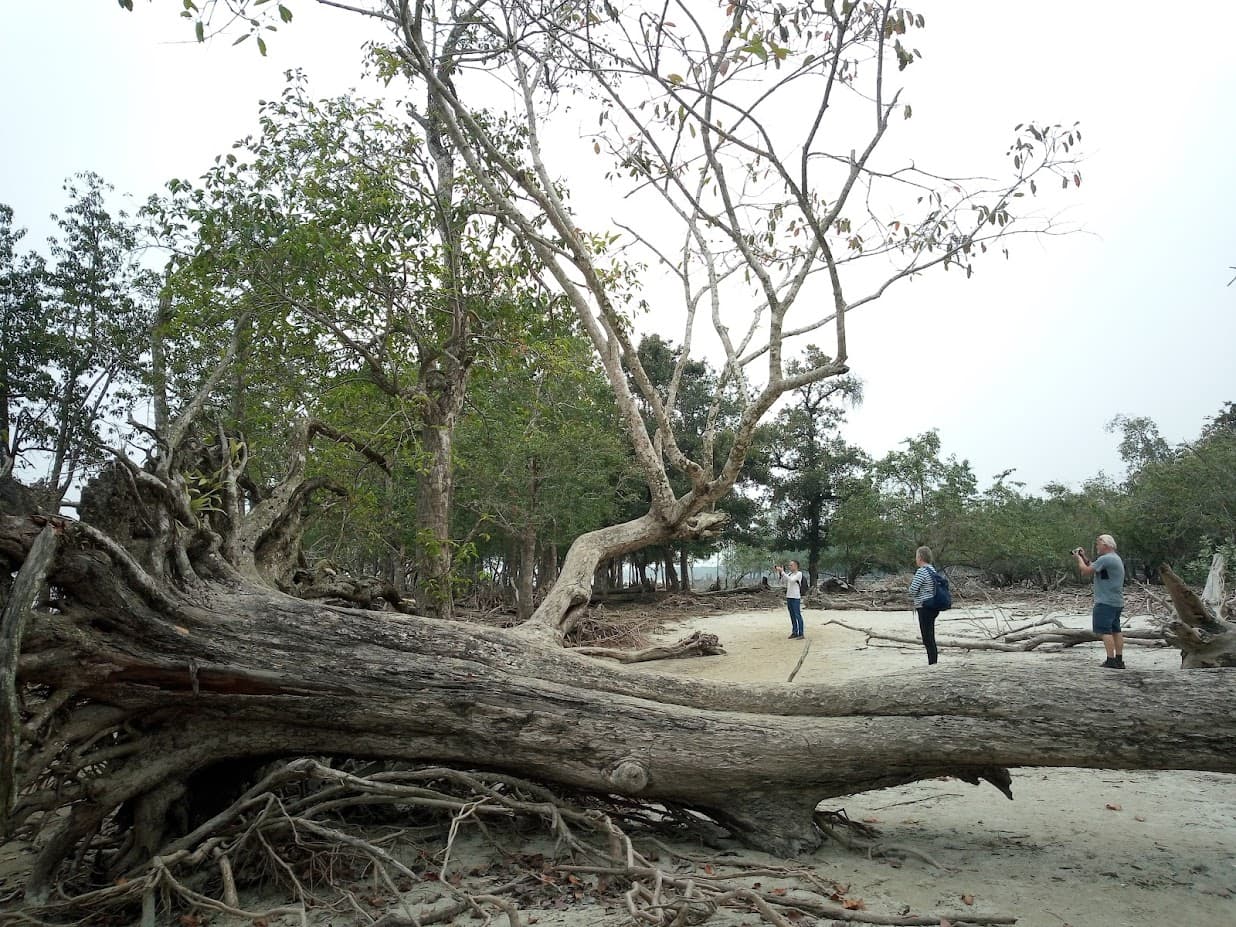 Sundarban Tour Bangladesh (3-Days) image 3