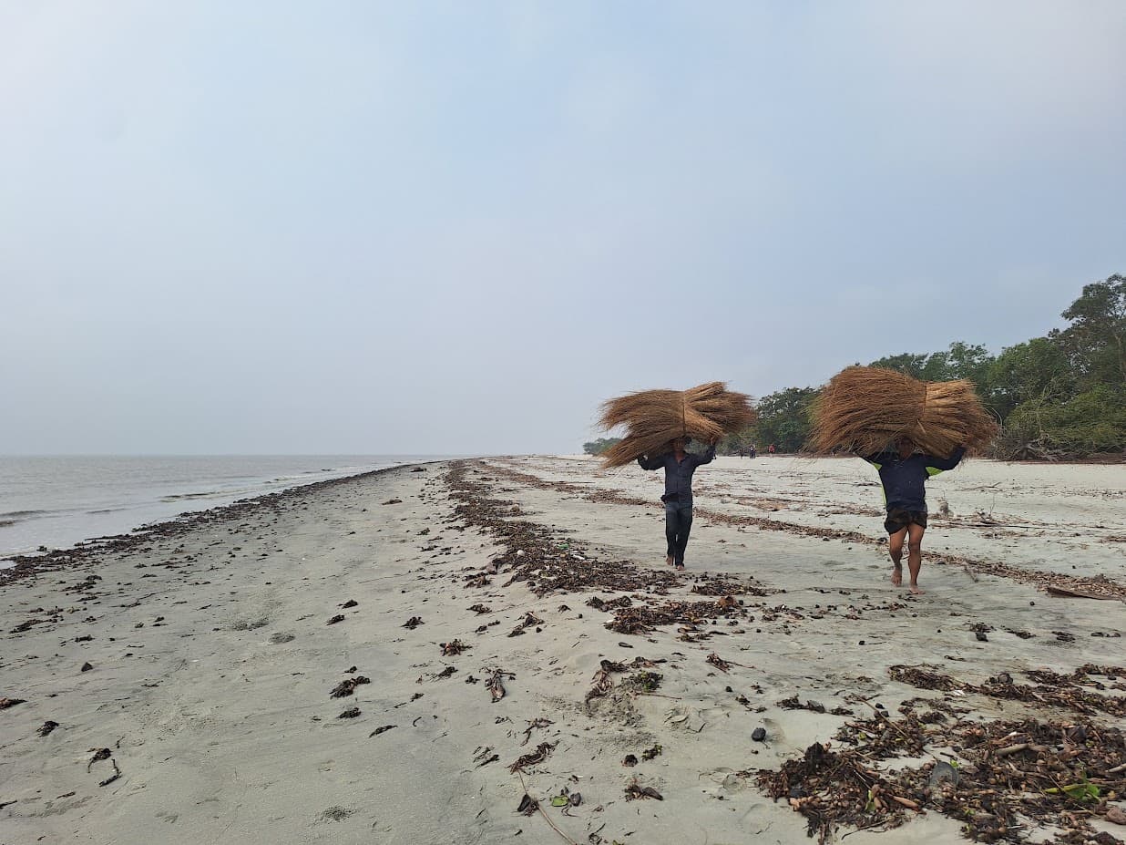 Sundarban Tour Bangladesh (3-Days) image 5