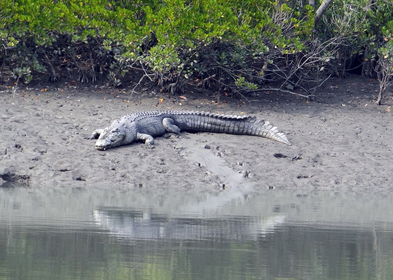 Bangladesh Highlights Expedition (11-Days tour) image 5