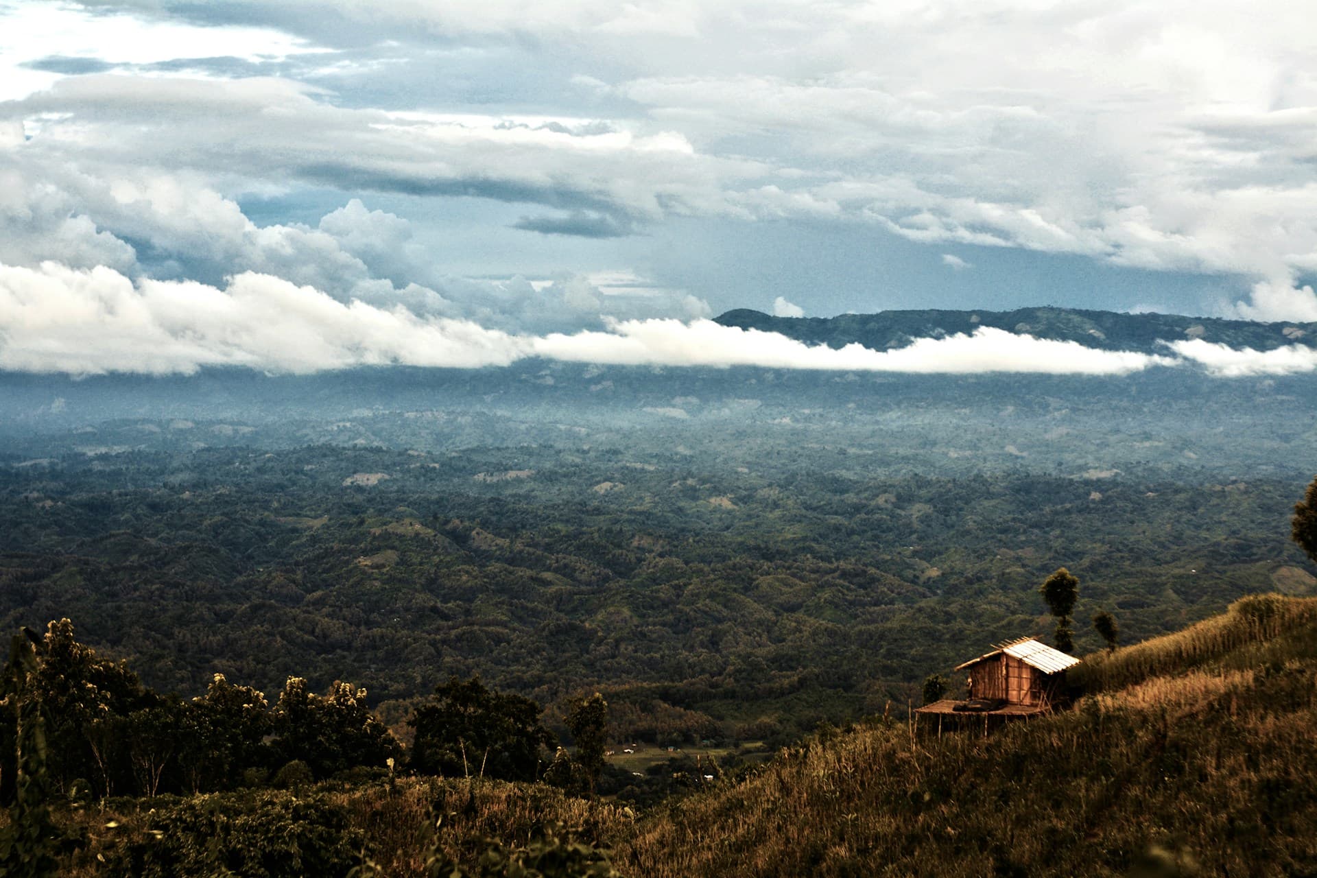 Chittagong Treasures: Hills & Coast image 3