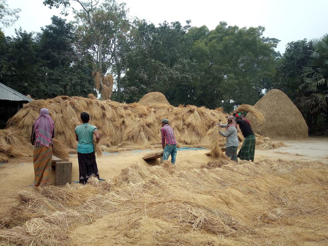 Highlights of Rajshahi image 8