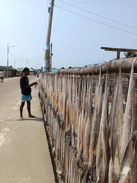 fish-drying area near Cox’s Bazar
