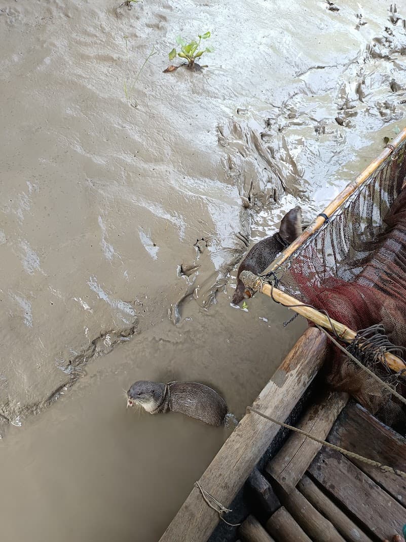 Dhaka to Sundarban Tour image 1