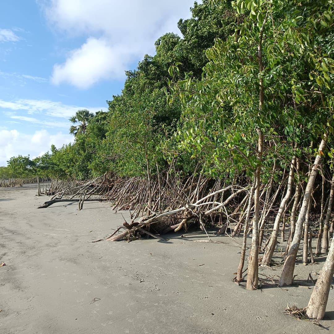 Dhaka to Sundarban Tour image 5