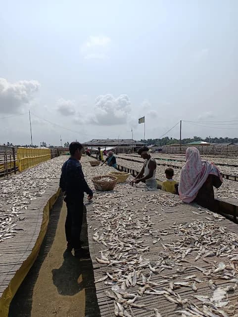 Dry fish Cox's bazar where to get dry fish in cox's bazar