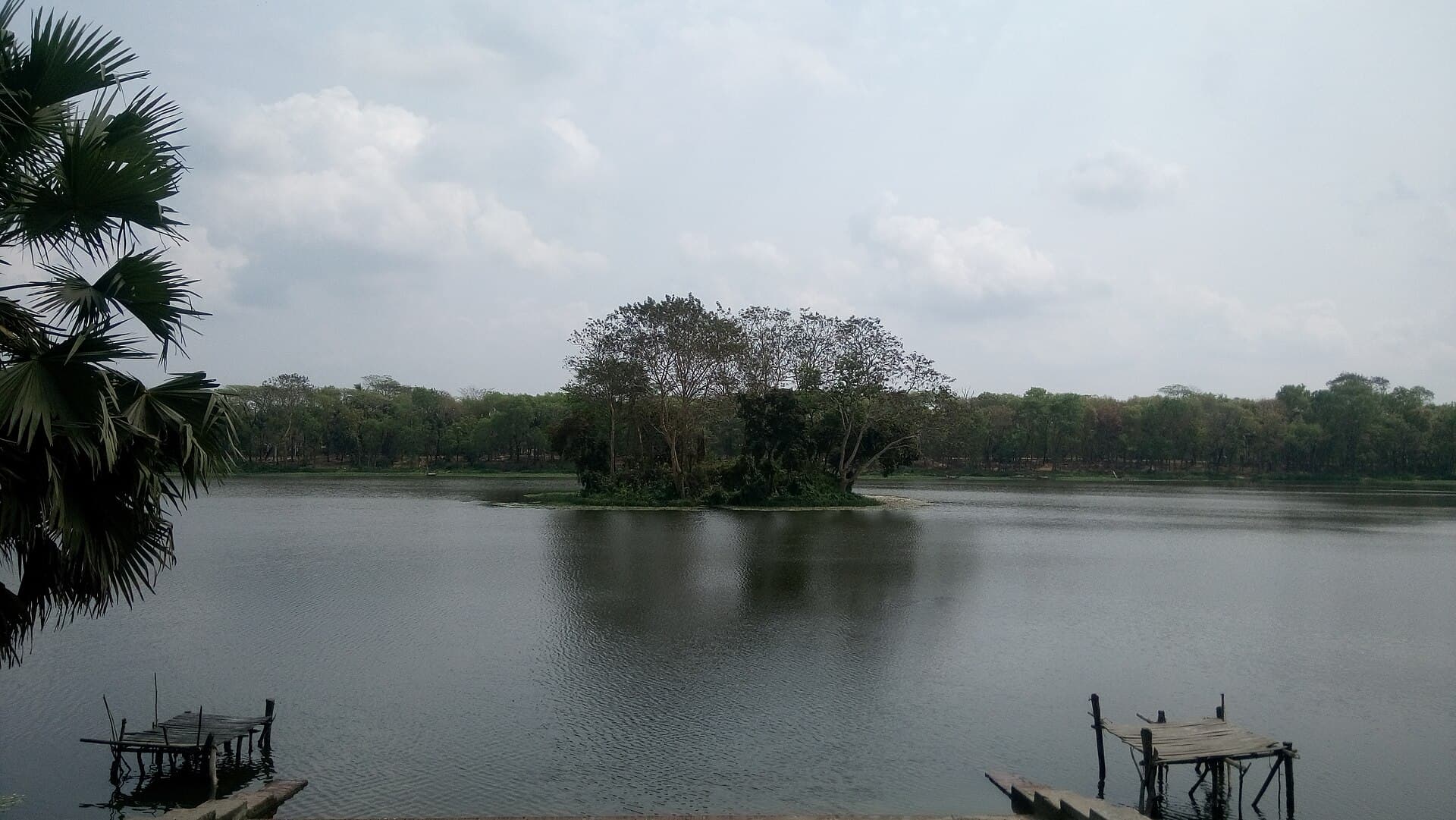 Tree-lined bank of Durga Sagar tank at Madhabpasha near Barisal