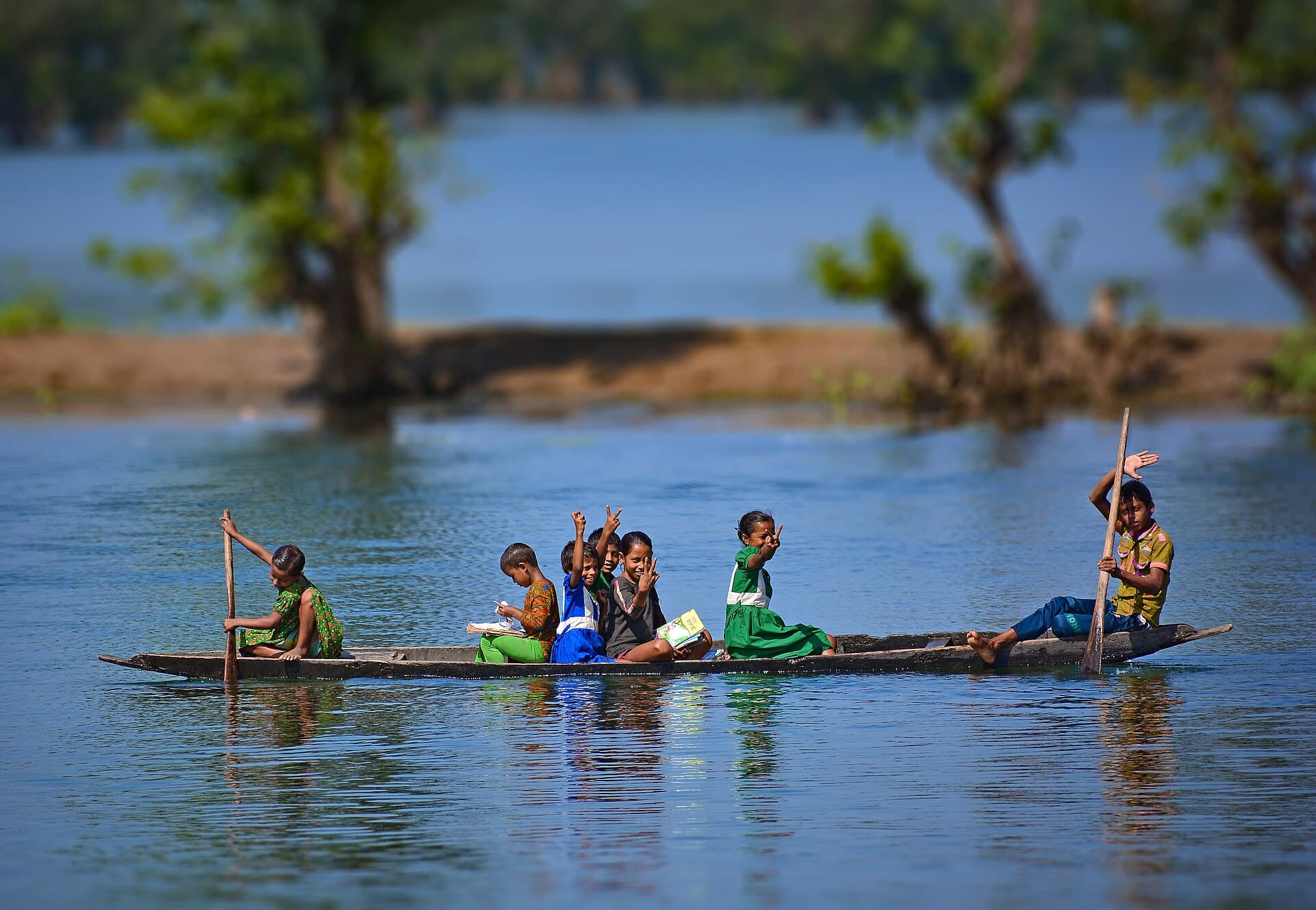 Ratargul freshwater swamp forest