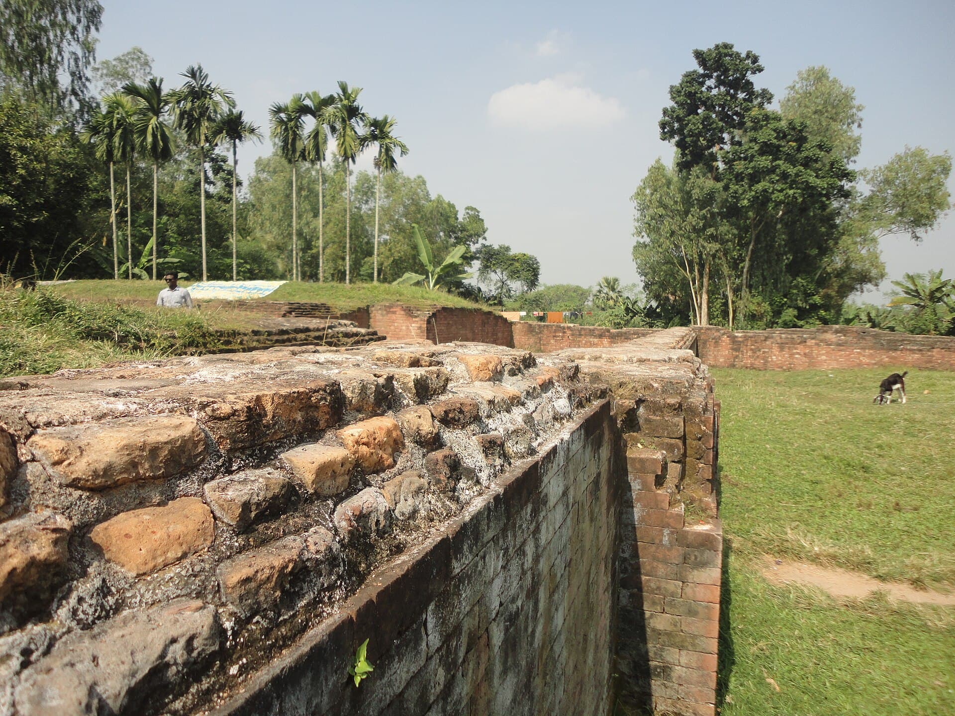 Weathered brickwork of the Mahasthangarh fortifications